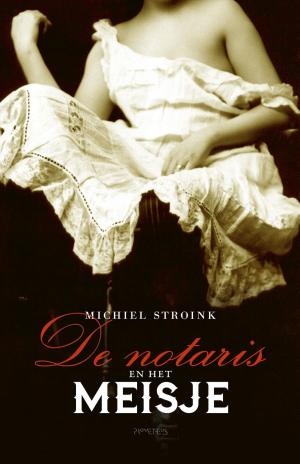 Cover of the book De notaris en het meisje by Ali Smith