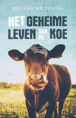 Cover of the book Het geheime leven van de koe by Diederik Stapel, A.H.J. Dautzenberg