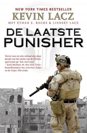 Cover of the book De laatste Punisher by Joe King