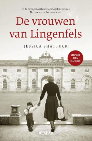 Cover of the book De vrouwen van Lingenfels by Evans Bissonette