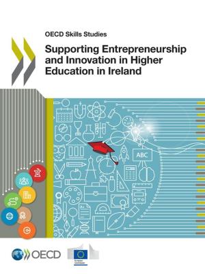 Cover of the book Supporting Entrepreneurship and Innovation in Higher Education in Ireland by Collectif