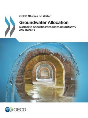 Cover of the book Groundwater Allocation by Collective