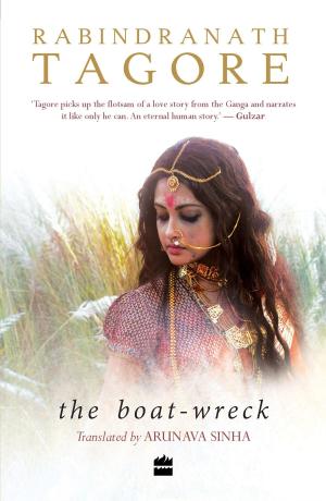 Cover of the book The Boat-wreck by Raza Rumi