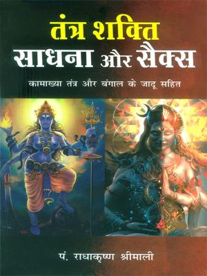 Cover of the book तंत्र शक्ति साधना और सैक्स : Tantra Shakti, Sadhna aur Sex by B.K. Chaturvedi