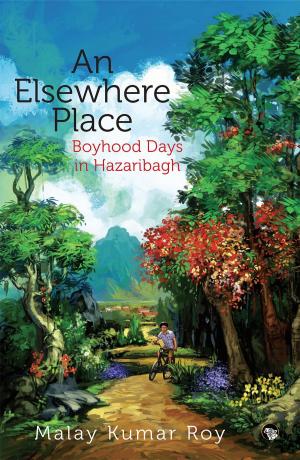 Cover of the book An Elsewhere Place by Anil Yadav