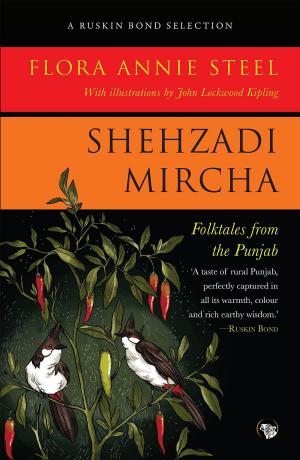 Cover of the book Shehzadi Mircha by F.T. Burke, Steve Reifman