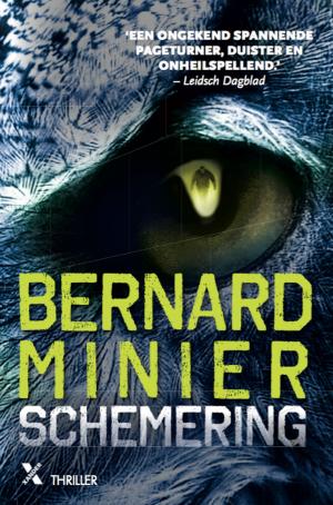 Book cover of Schemering