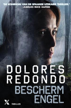 Cover of the book Beschermengel by Daryl Price