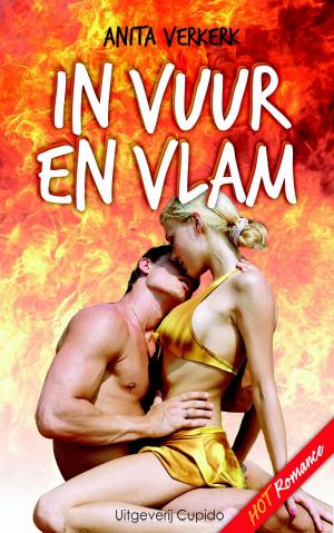 Cover of the book In vuur en vlam by Wilma Hollander