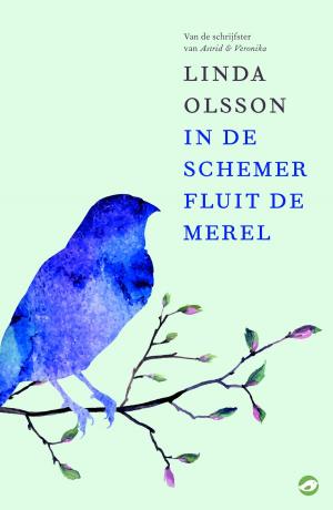 Book cover of In de schemer fluit de merel