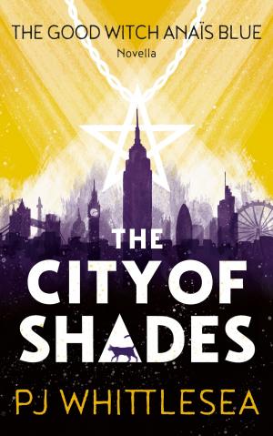 bigCover of the book The City of Shades by 