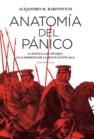 Cover of the book Anatomía del pánico by María Virginia Messi