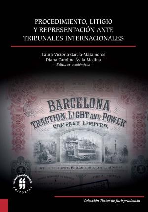 Book cover of Procedimiento, litigio y representación ante tribunales internacionales