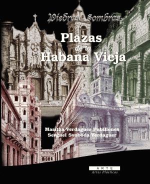 Cover of the book Piedras y sombras by Alan Borges, Alicia Sardiñas