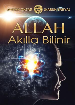Cover of the book Allah Akılla Bilinir by Harun Yahya (Adnan Oktar)