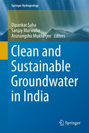 Cover of the book Clean and Sustainable Groundwater in India by Anna G. Shillabeer