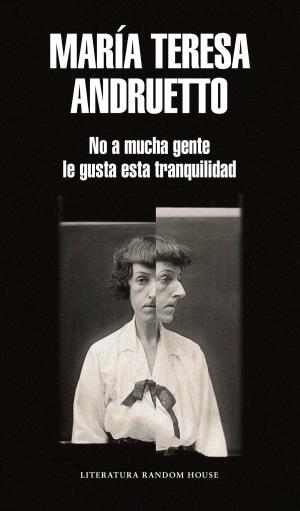 Cover of the book No a mucha gente le gusta esta tranquilidad by Mónica Gordillo