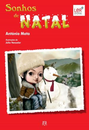 Cover of the book Sonhos de Natal by John Green