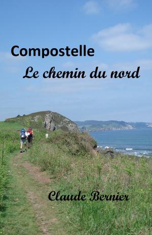 Book cover of Compostelle - Le chemin du nord