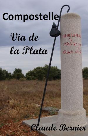 Book cover of Compostelle - Via de la Plata
