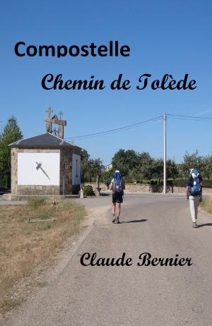 Cover of the book Compostelle, Chemin de Tolède by Jacqueline Peker