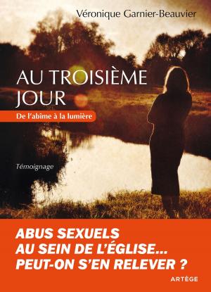 Cover of the book Au troisième jour by ALBERT VANHOYE
