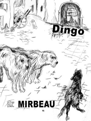 bigCover of the book Dingo by 