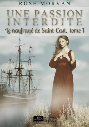 Cover of the book Une passion interdite, tome 1 : Le naufragé de Saint-Cast by Wendy Donella