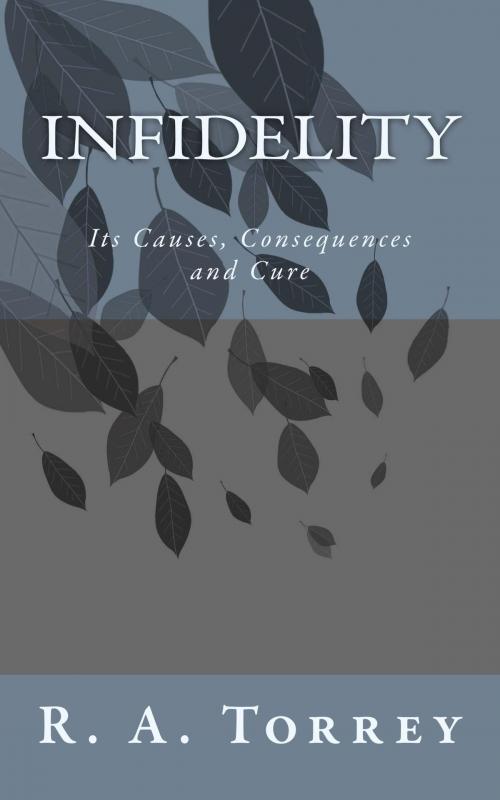 Cover of the book Infidelity by R. A. Torrey, CrossReach Publications