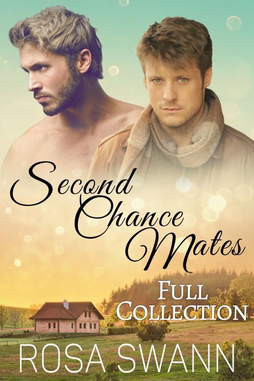 Cover of the book Second Chance Mates Full Collection by Rosa Swann, 5 Times Chaos