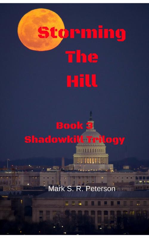 Cover of the book Storming The Hill: Book 3 of the Shadowkill Trilogy by Mark S. R. Peterson, Mark S. R. Peterson