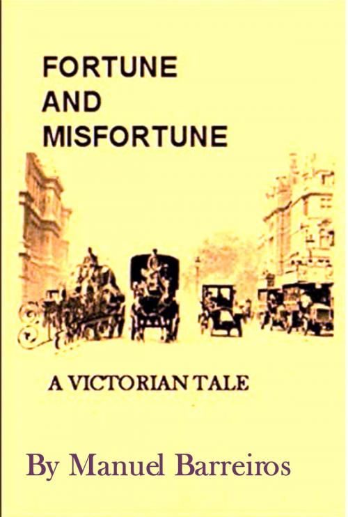 Cover of the book FORTUNE AND MISFORTUNE. New fully extended version by MANUEL BARREIROS, Manuel Barreiros