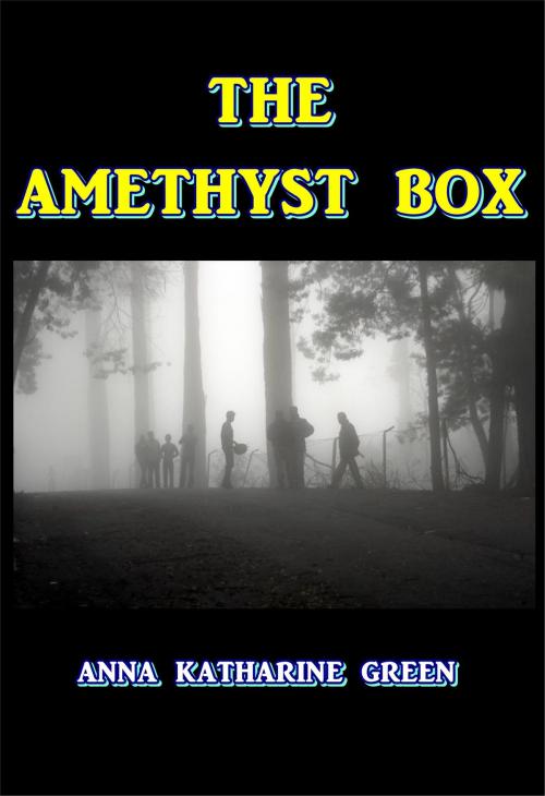 Cover of the book The Amethyst Box by Anna Katharine Green, Green Bird Press