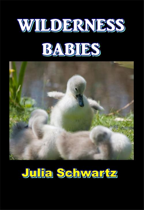 Cover of the book Wilderness Babies by Julia Schwartz, Green Bird Press
