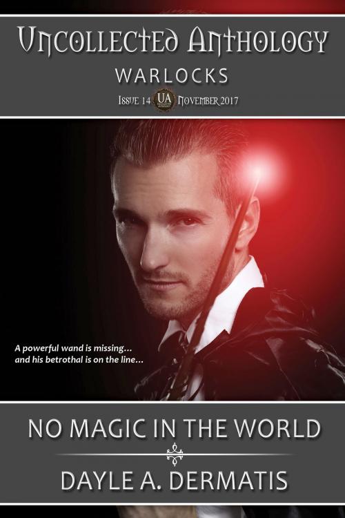 Cover of the book No Magic in the World by Dayle A. Dermatis, Soul's Road Press