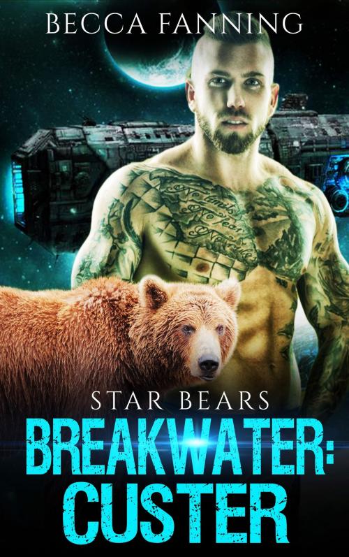 Cover of the book Breakwater: Custer by Becca Fanning, Gizmo Media