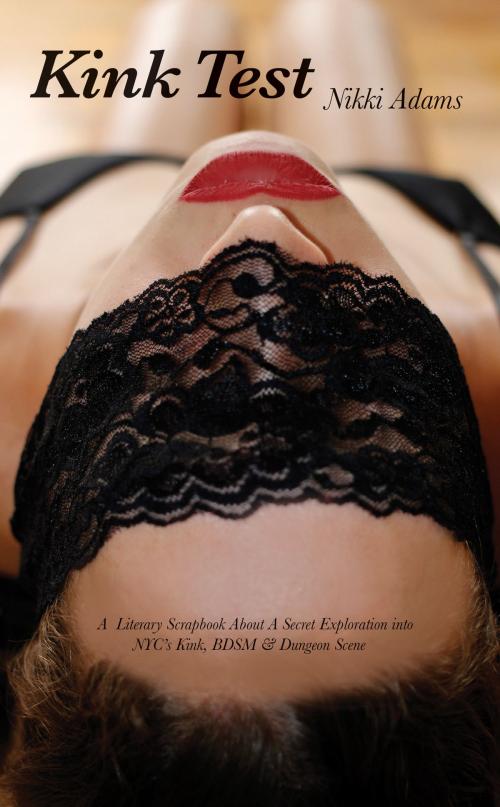 Cover of the book Kink Test by Nikki Adams, Chantel Figueroa