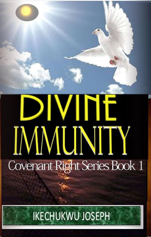 Cover of the book Divine Immunity by Ikechukwu Joseph, Ikechukwu Joseph