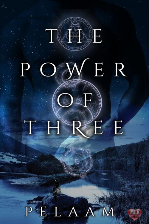 Cover of the book The Power of Three by Pelaam, MLR Press