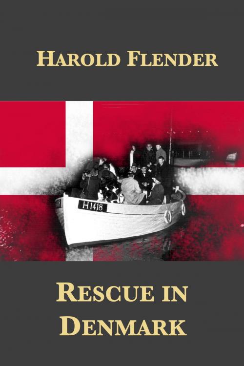 Cover of the book Rescue in Denmark by Harold Flender, Plunkett Lake Press