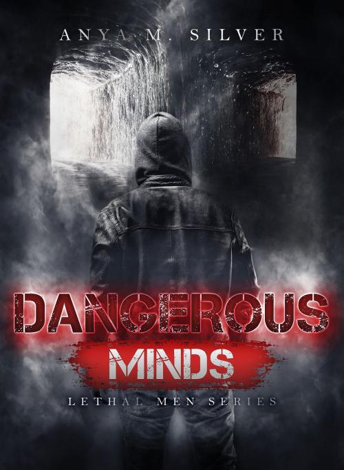 Cover of the book Dangerous Minds by Anya M. Silver, AMS