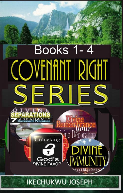 Cover of the book Covenant Right Series by Ikechukwu Joseph, Ikechukwu Joseph