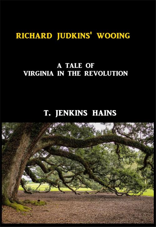 Cover of the book Richard Judkins' Wooing by T. Jenkins Hains, Green Bird Press