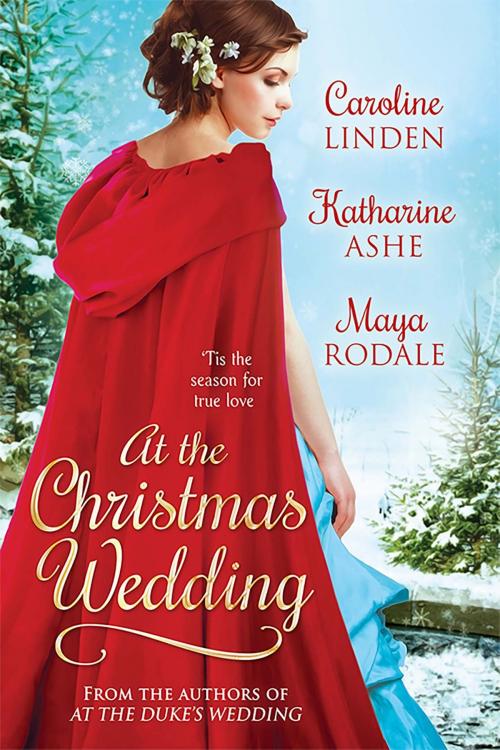 Cover of the book At the Christmas Wedding by Caroline Linden, Maya Rodale, Katharine Ashe, The Lady Authors
