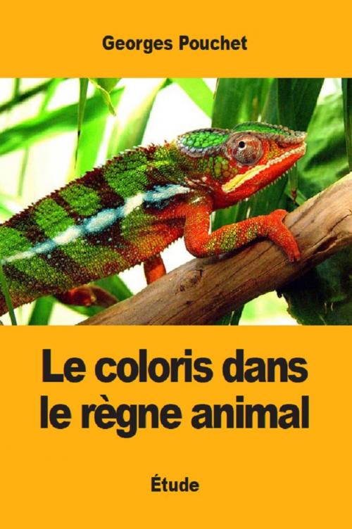 Cover of the book Le coloris dans le règne animal by Georges Pouchet, Prodinnova