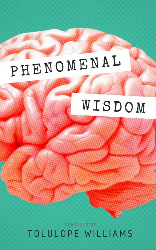 Cover of the book Phenomenal Wisdom by Tolulope Williams, Publiseer Publishing