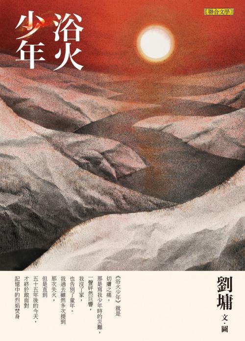 Cover of the book 浴火少年 by 劉墉, 聯合文學出版社