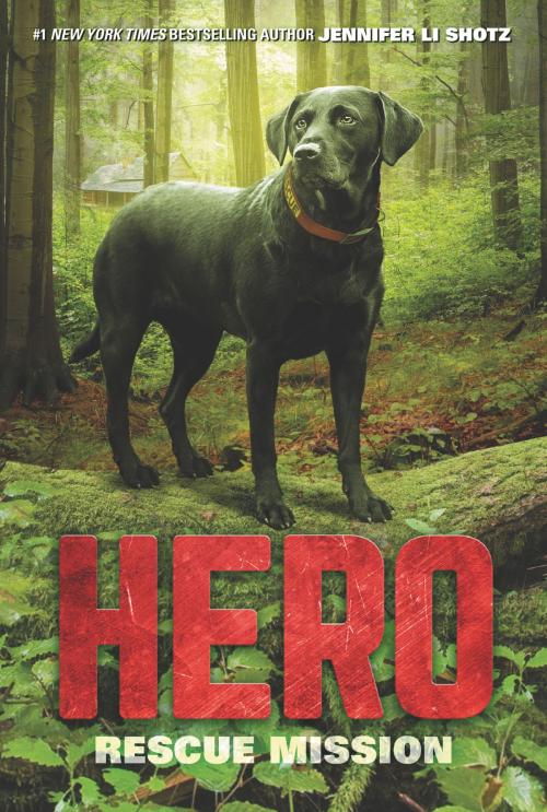 Cover of the book Hero: Rescue Mission by Jennifer Li Shotz, HarperCollins