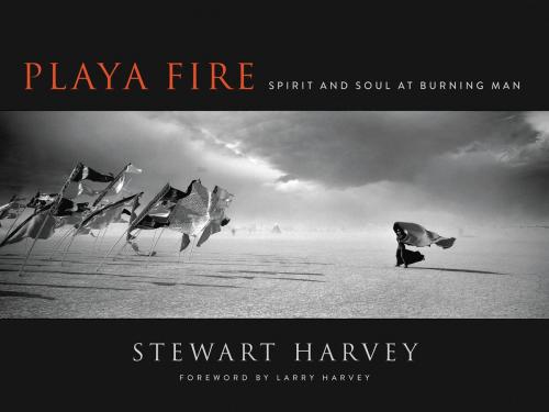 Cover of the book Playa Fire by Stewart Harvey, HarperOne