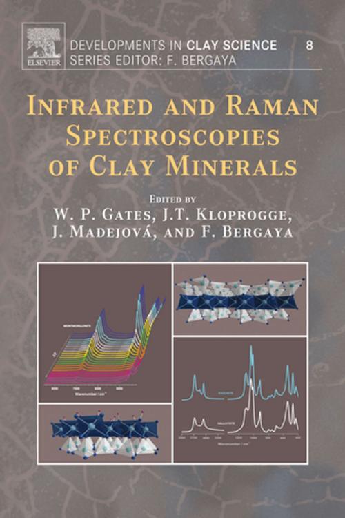 Cover of the book Infrared and Raman Spectroscopies of Clay Minerals by J. Theo Kloprogge, Will Gates, Jana Madejova, Faïza Bergaya, Elsevier Science